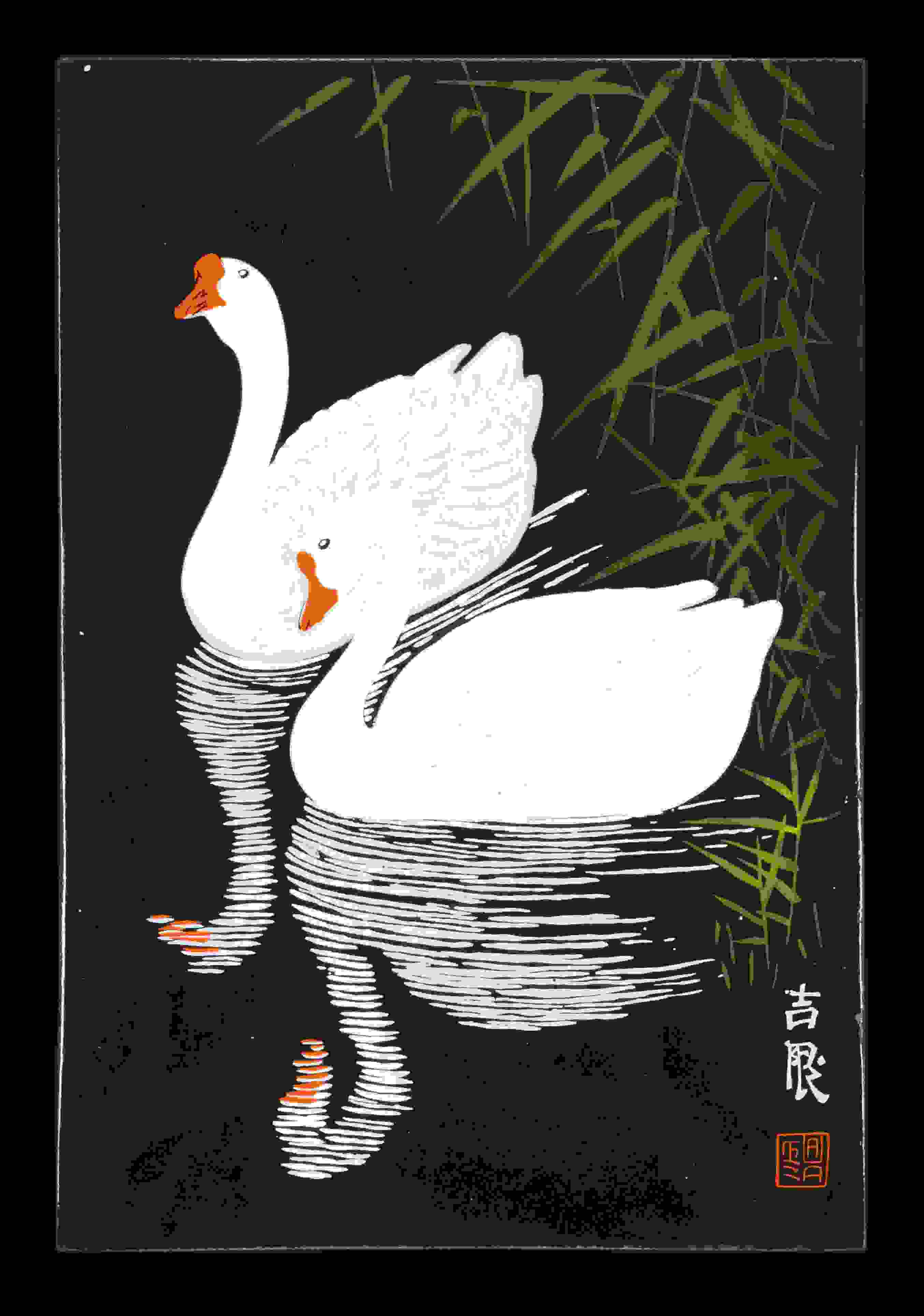 Swans and Reeds (Schwäne und Reedgras) 
