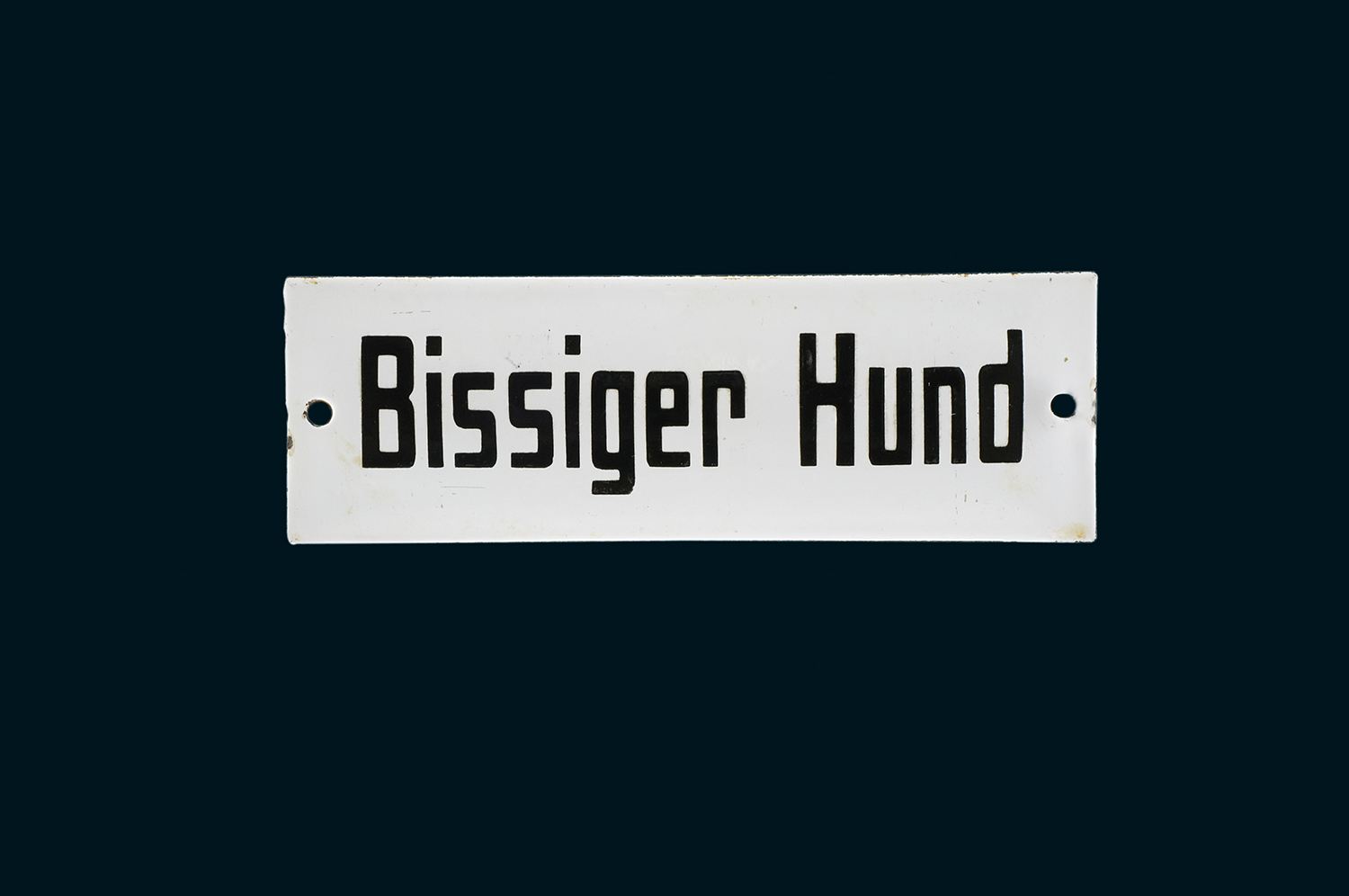 Bissiger Hund 