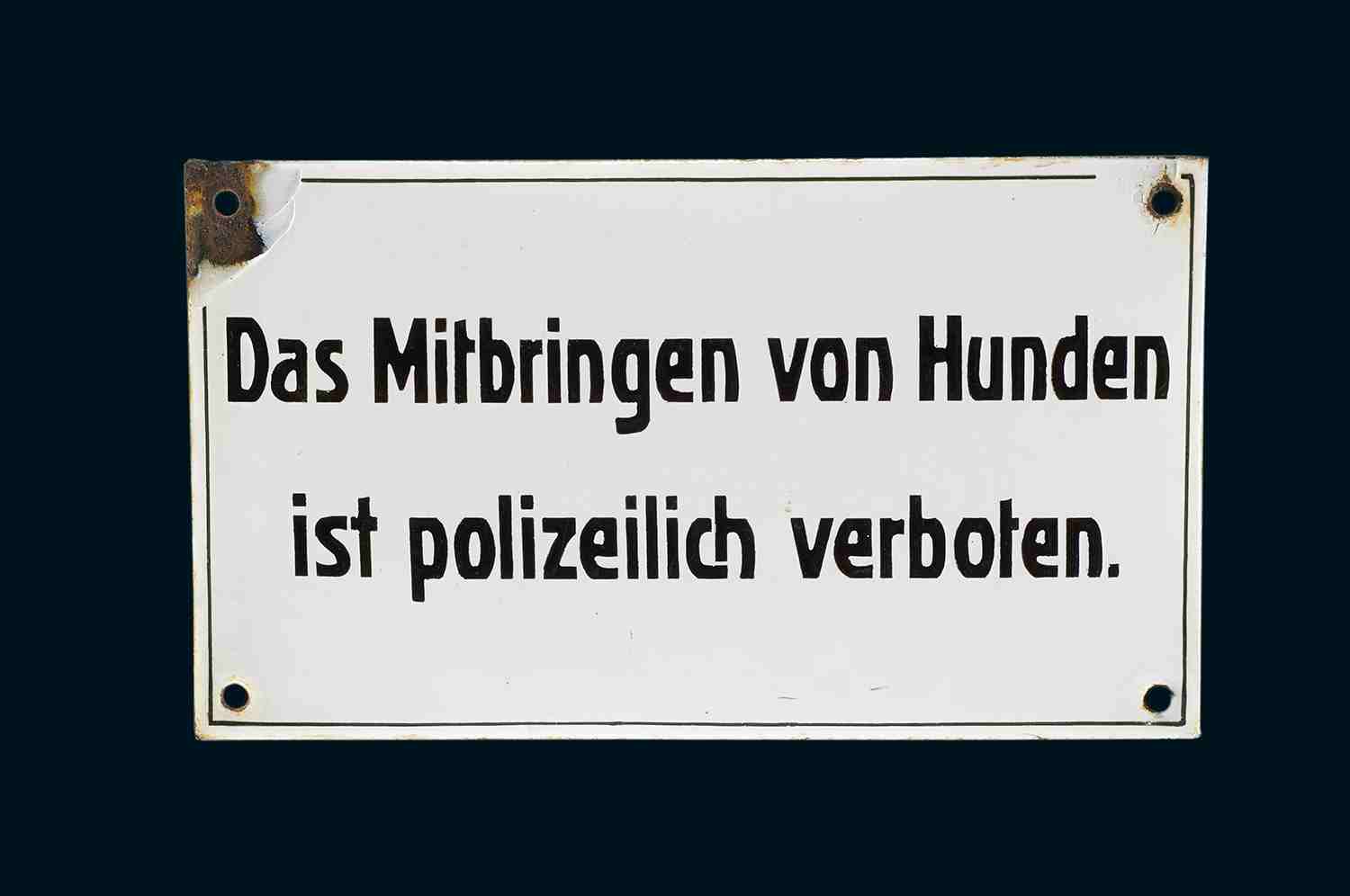 Mitbringen von Hunden… 