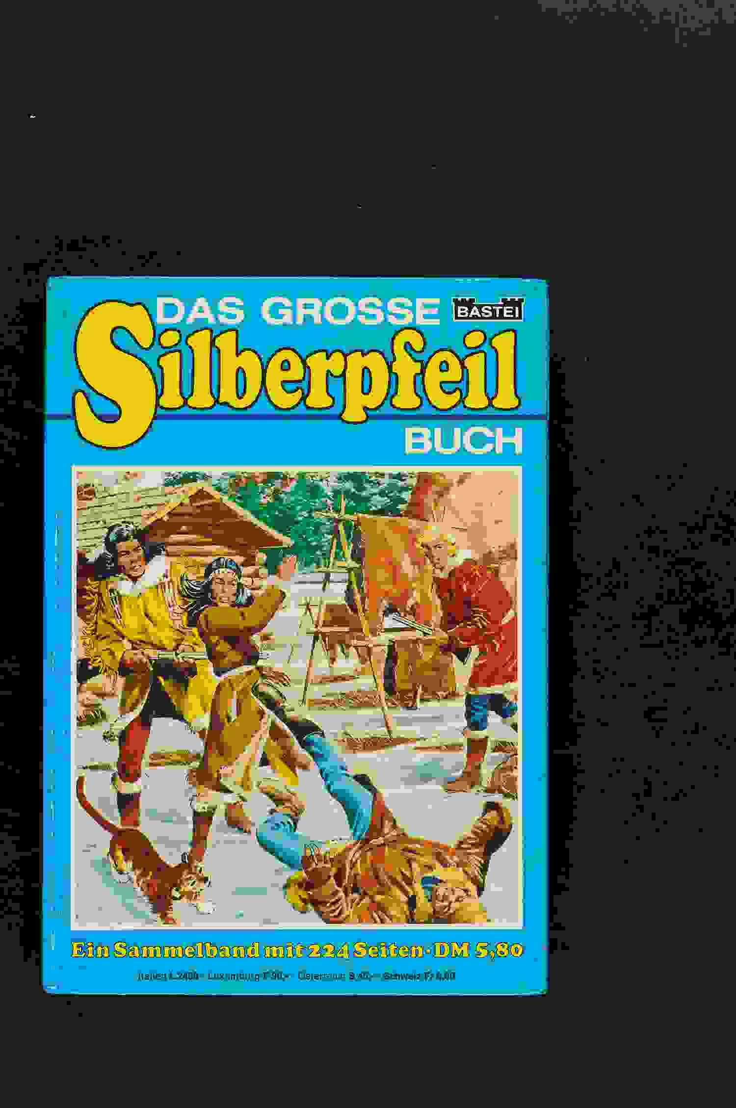 Silberpfeil Buch Nr. 6 
