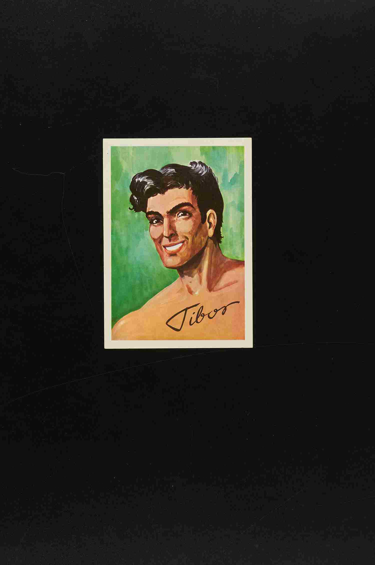 Tibor Bildpostkarte  